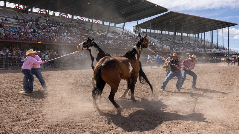 Wild Horse Races Thrill Spectators