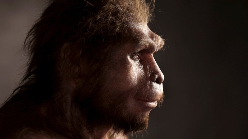 Homo erectus: The First Globe-Trotters