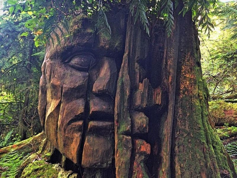 Animism – Spirits in All Things