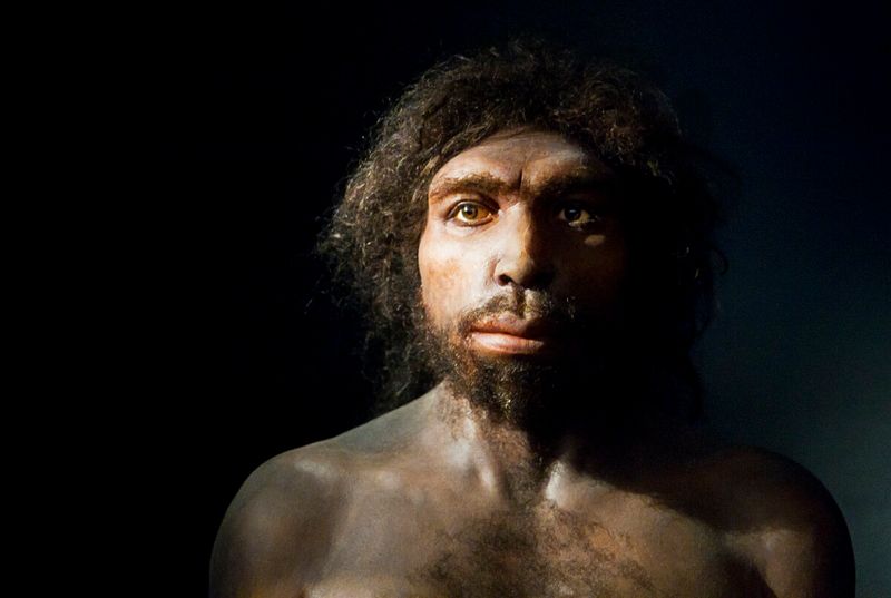 Homo antecessor: Europe's First Pioneers