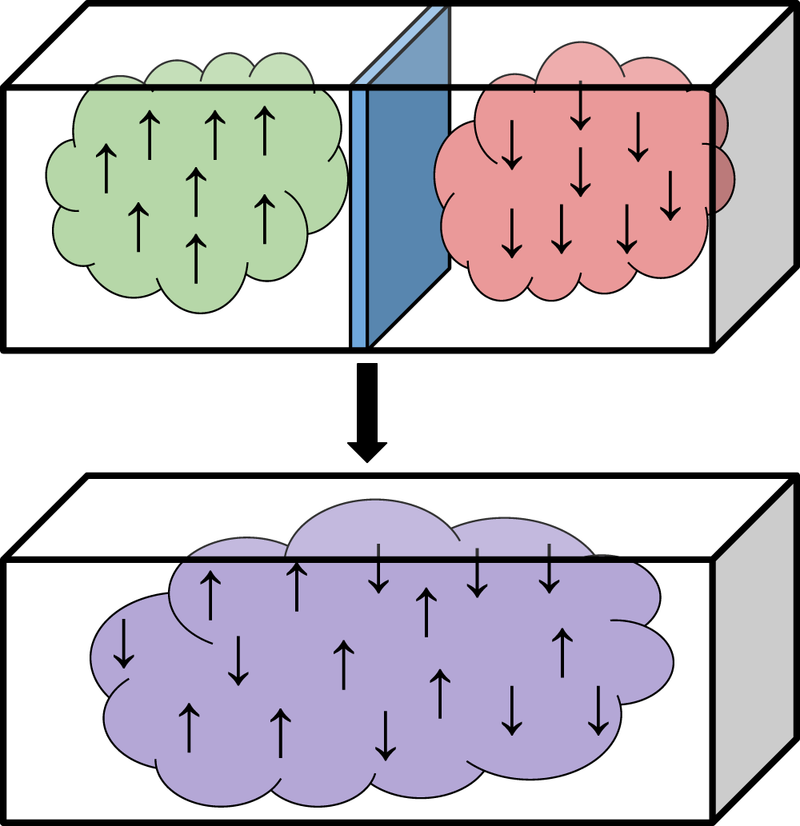 The Gibbs Paradox