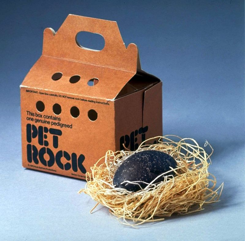 Pet Rock (1975, But Peaked in the '80s)