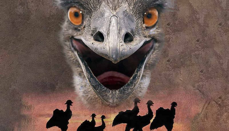 The Great Emu War (1932, Australia) 🦘