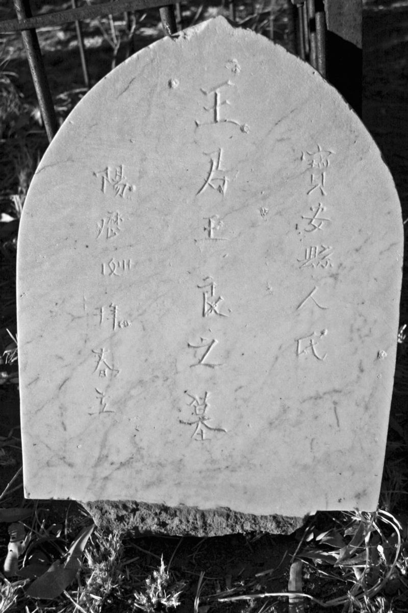 Their Graves Were Often Desecrated