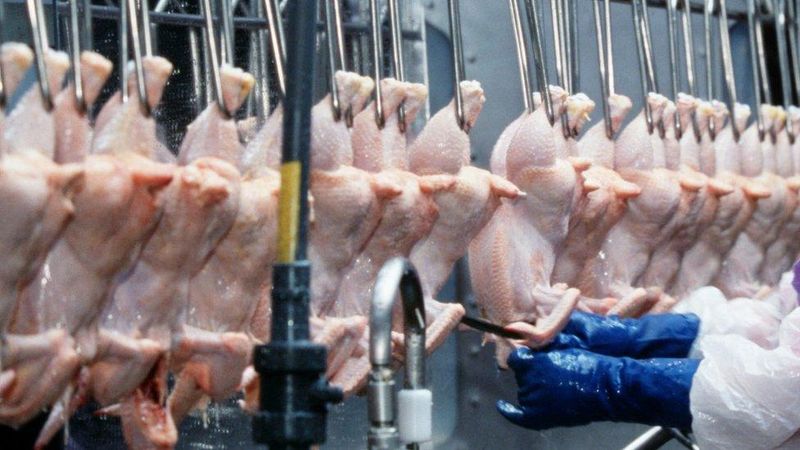 Chlorine-Washed Chicken