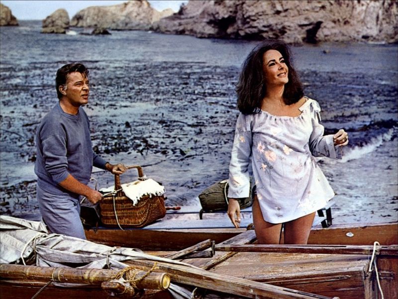 The Sandpiper (1965): California Dreaming