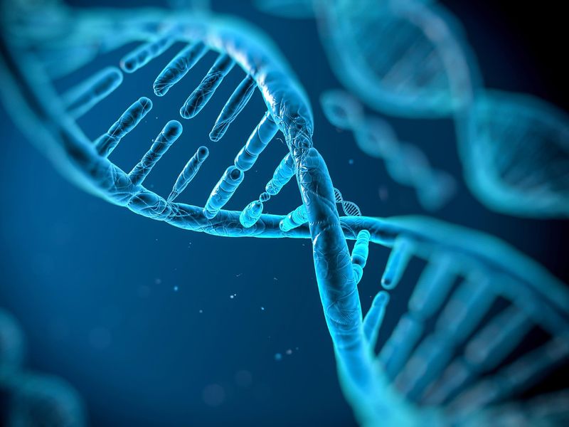 DNA Evidence Reveals Our African Origins