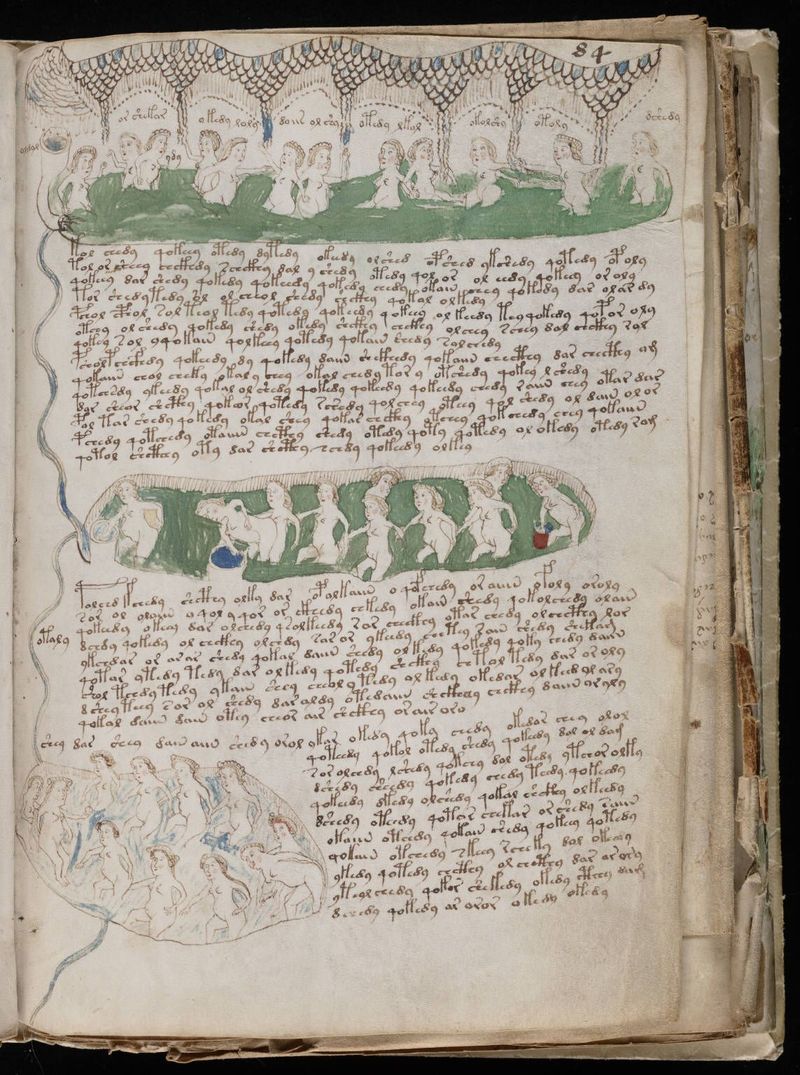 The Voynich Manuscript (15th Century)