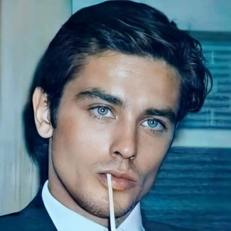Alain Delon: The French Heartthrob