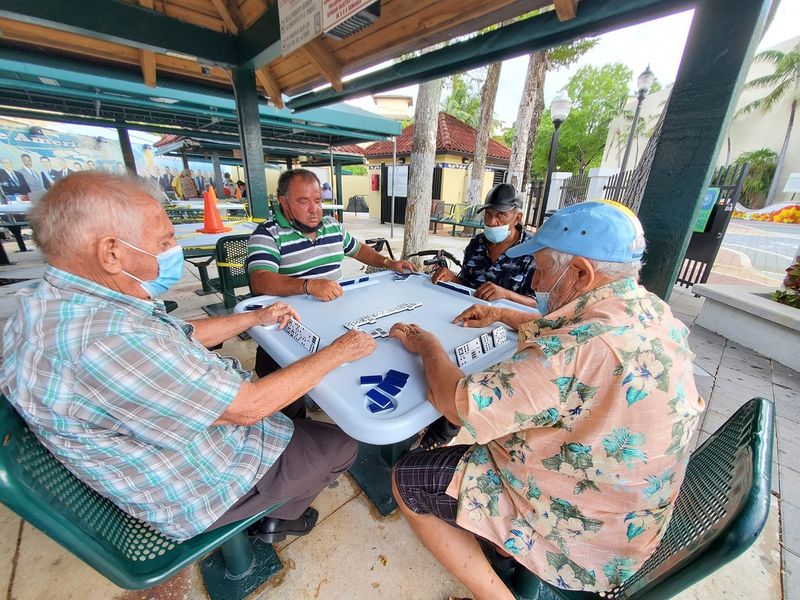 Domino Culture