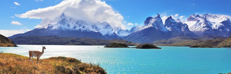 Patagonia's Windswept Wilderness