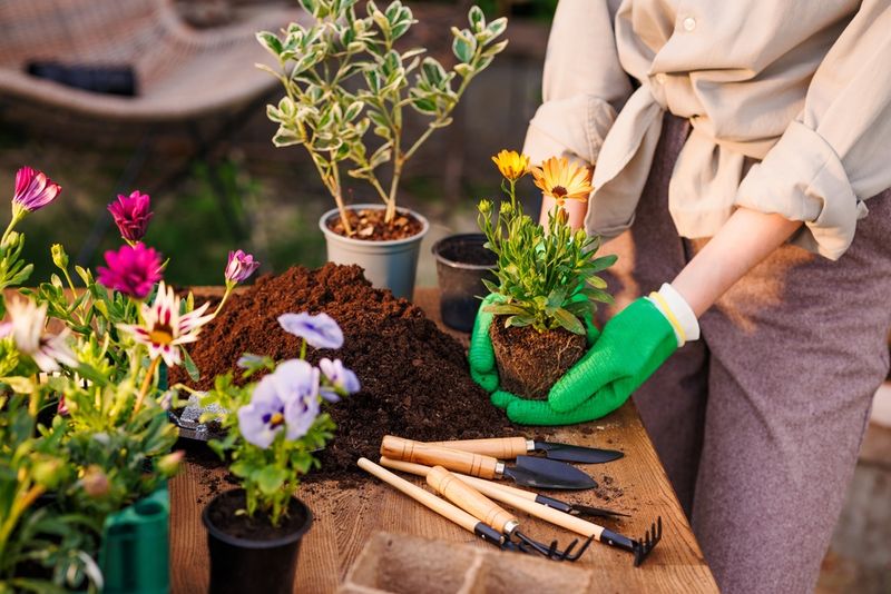 Tending to a Garden or Plants