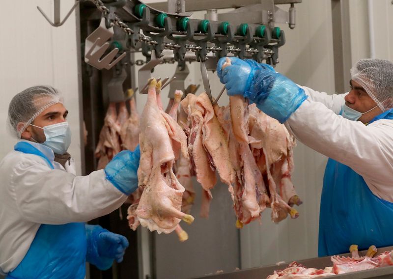 Halal Slaughter: Muslim Communities Face Restrictions