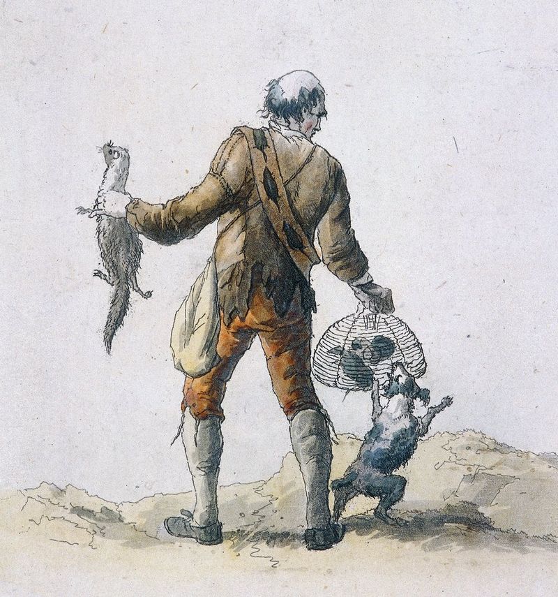 Rat Catcher