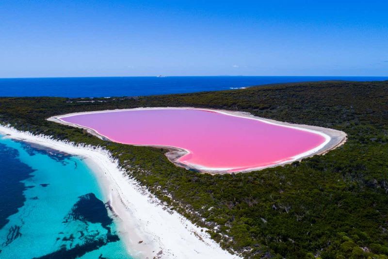 Lake Hillier's Pink Color