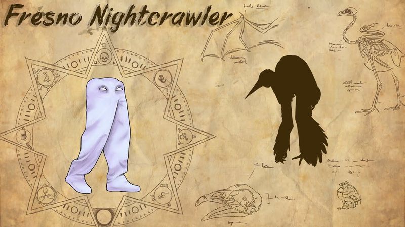 Fresno Nightcrawler
