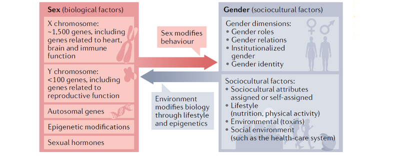 Biology and Culture Work Together