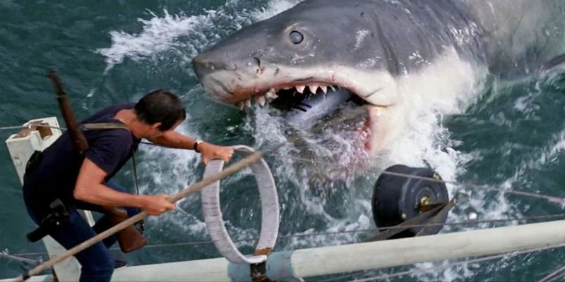 The Full Shark Reveal Comes Surprisingly Late