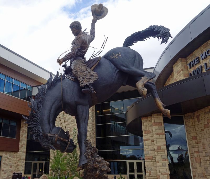 Clayton Danks' Rodeo Triumphs