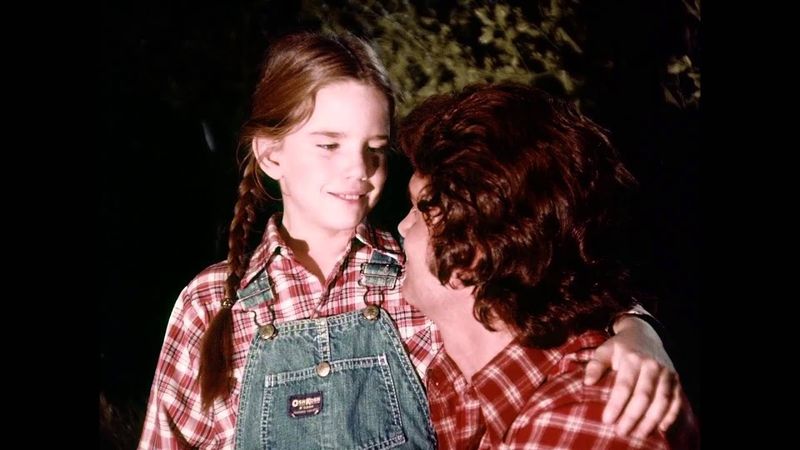 Melissa Gilbert as Laura Ingalls