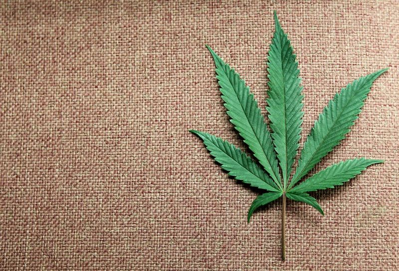 Opposition to Marijuana Legalization