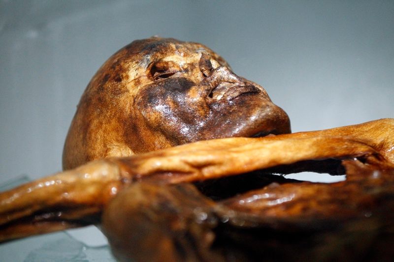 The Ötzi the Iceman’s Medicinal Mushrooms (3300 BCE)