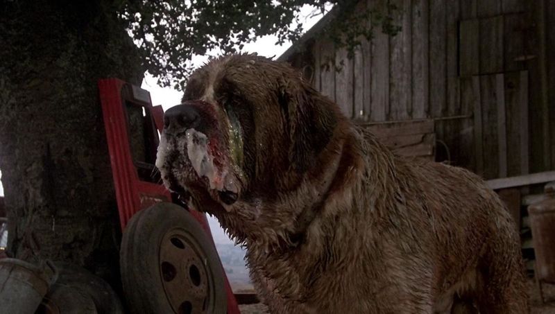 Cujo (1983)