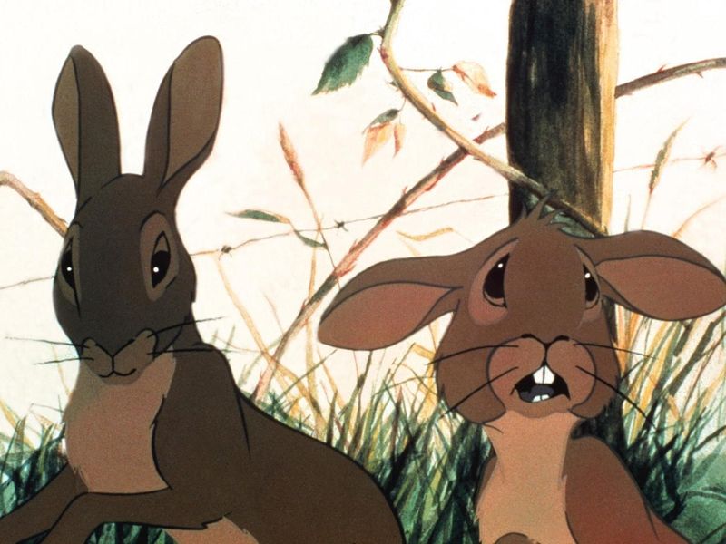 Watership Down (1978)