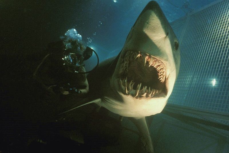 Deep Blue Sea (1999)