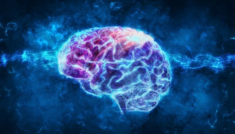 The Boltzmann Brain Paradox