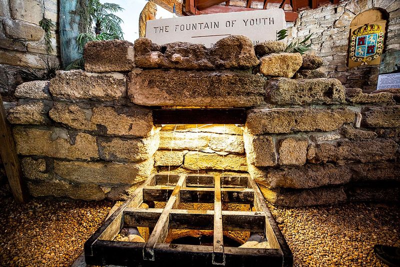The Fountain of Youth