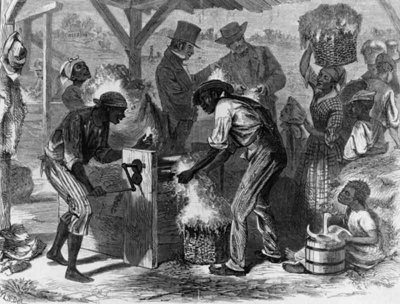 Only the Wealthy Owned Slaves