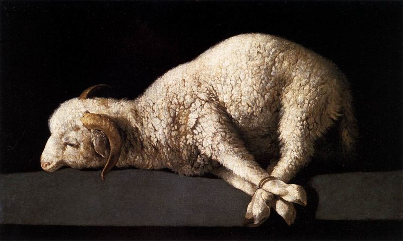 The Passover Lamb (Exodus 12:5-6, 13)