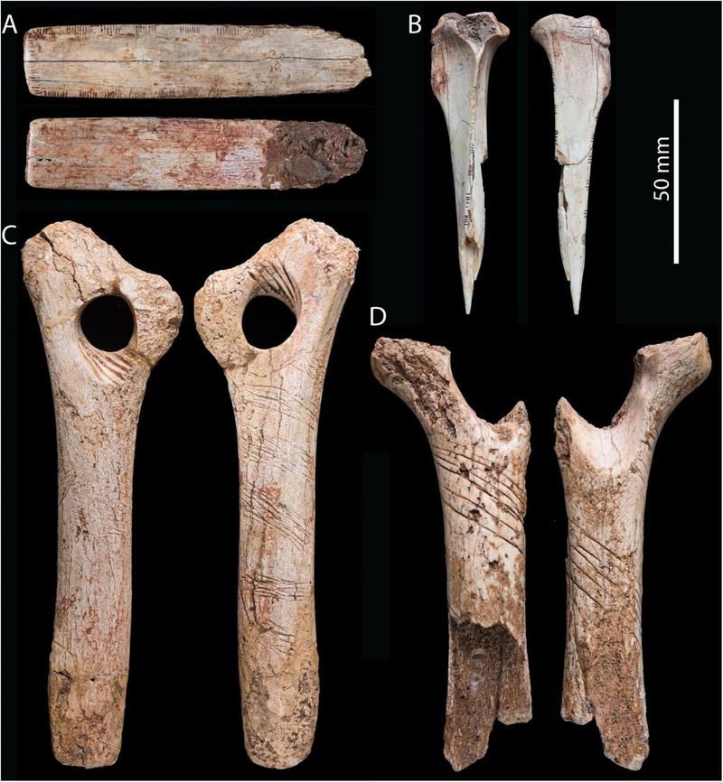 The Ancient Britons (Iron Age Europe)
