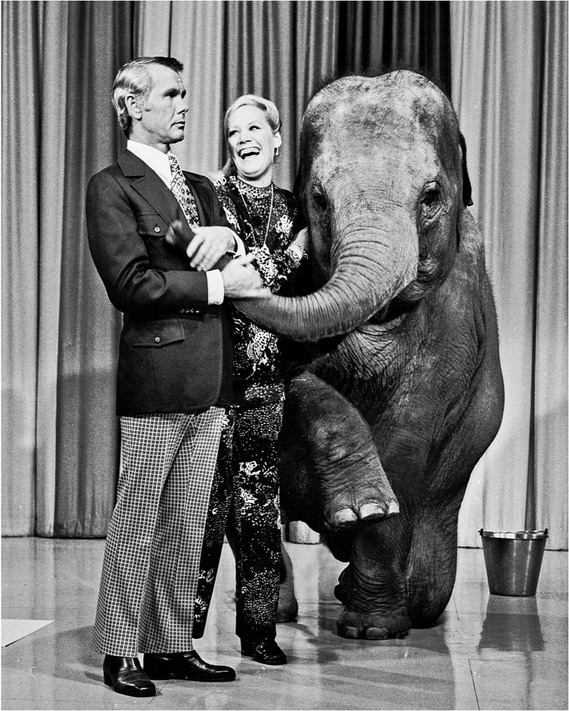 The Infamous Animal Handler Encounters