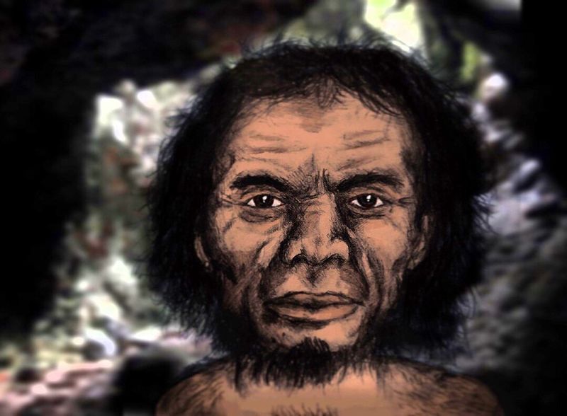 Homo luzonensis: The Newest Addition