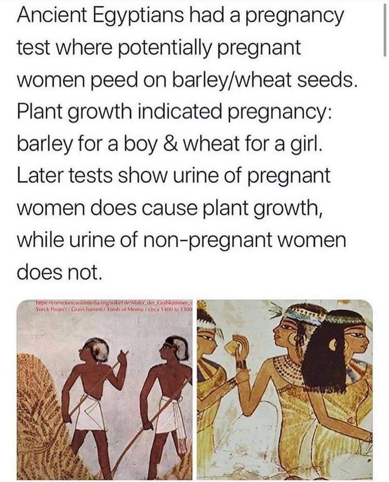 The Egyptians Had Advanced Pregnancy Tests
