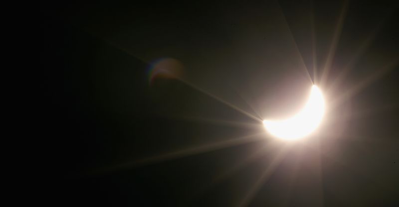 The 