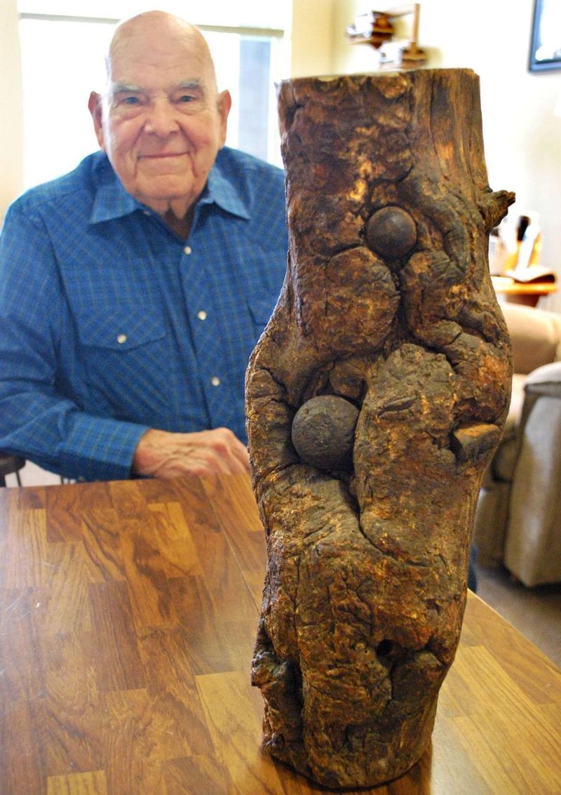 A Cannonball Lodged in a Tree... for 139 Years