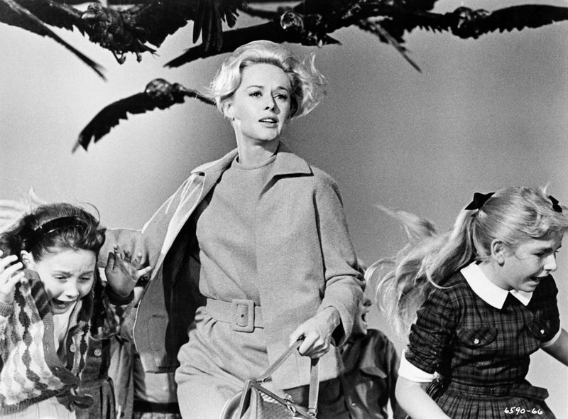 The Birds (1963)