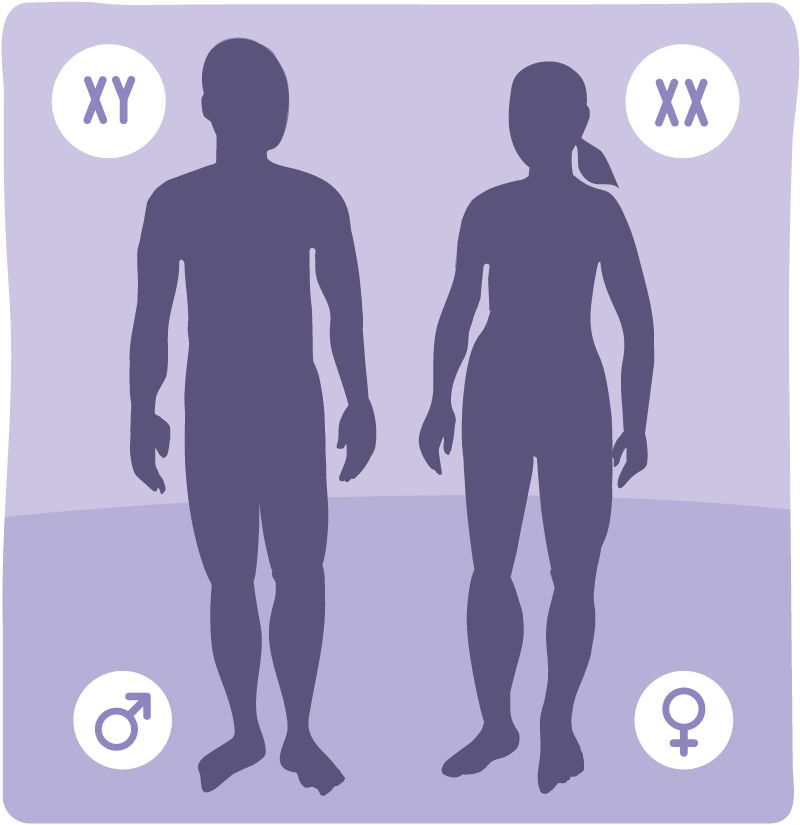 Sex and Gender Are Completely Different Things