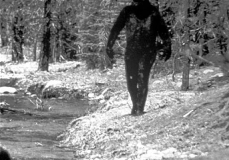 White Bigfoot