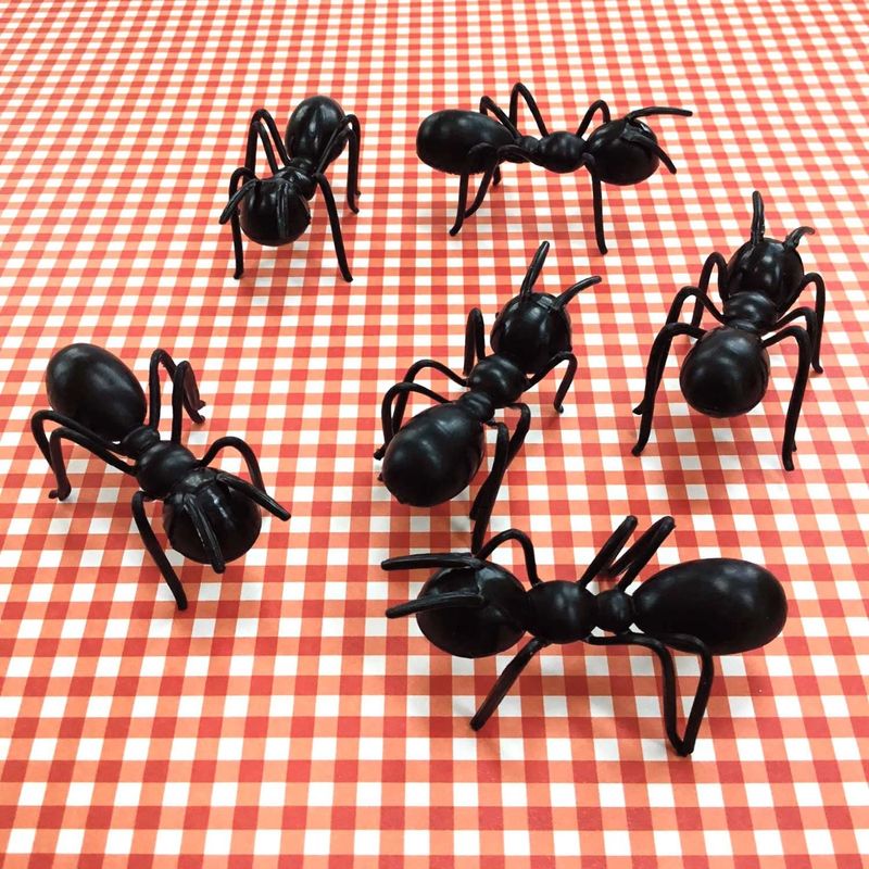 Fake Ant Invasion