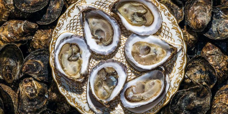 Oysters & Seafood Feasts