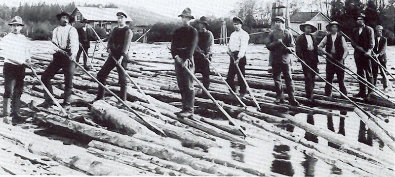 Log Driver (Timber Floating) 💰 $100,000+ per year