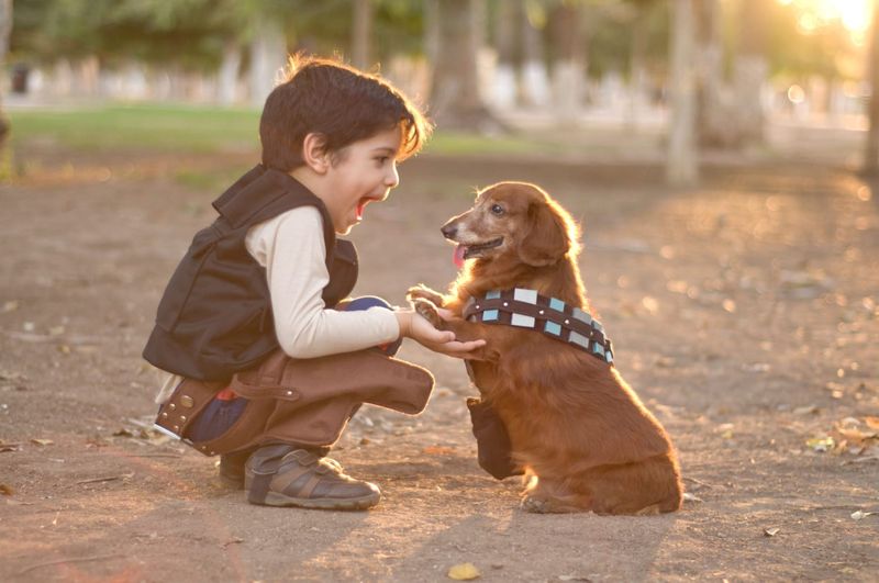 Taking Responsibility for Pets