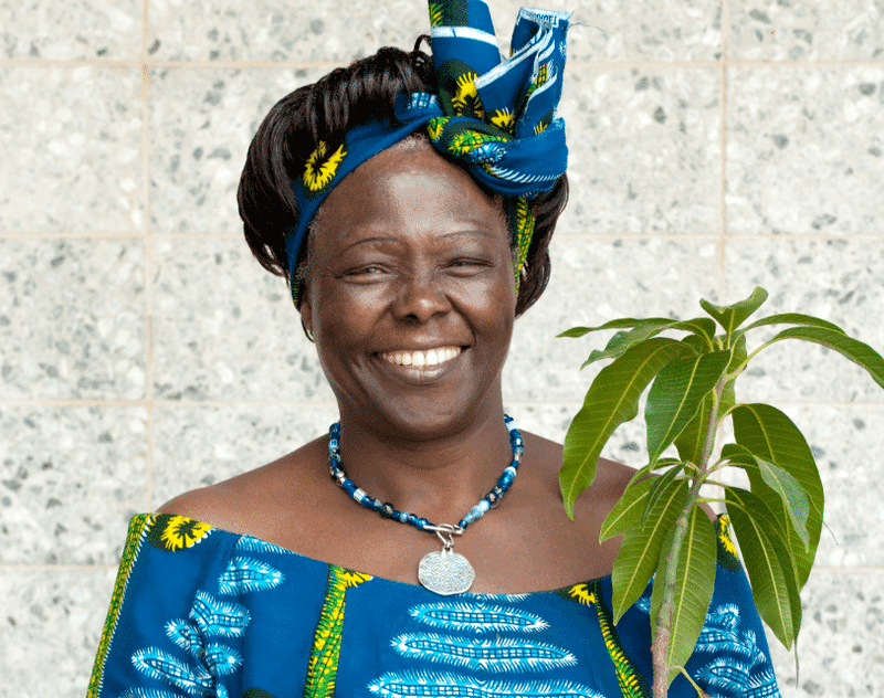 Wangari Maathai