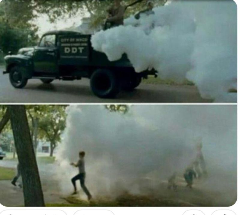 Running Through the Fog of the Mosquito Truck