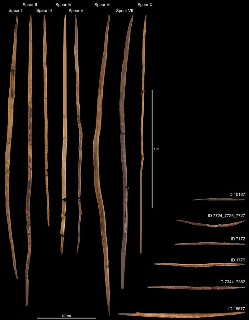 Fire Hardened Spears
