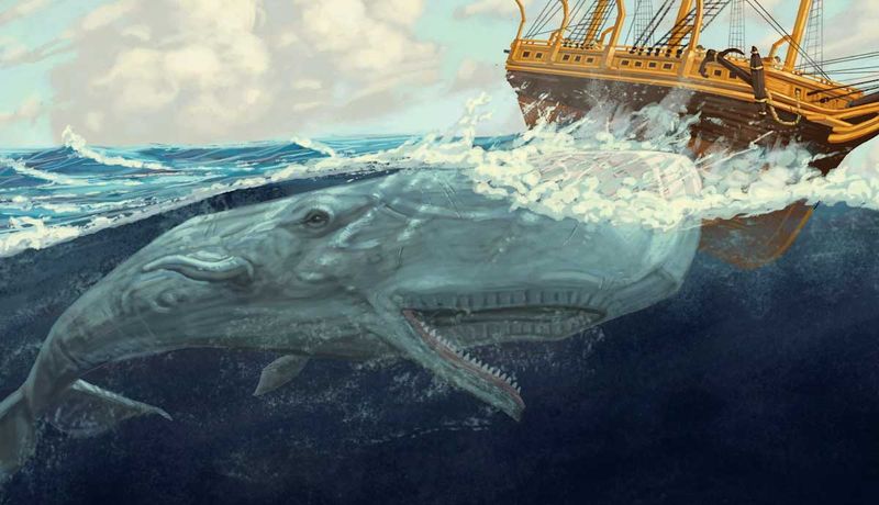 Sperm Whales Fought Back—Inspiring Moby-Dick
